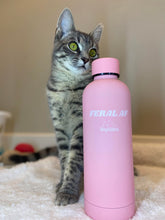 Load image into Gallery viewer, Stainless Steel Water Bottle