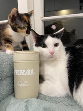 Load image into Gallery viewer, Ceramic Tumbler w/Plastic Exterior & Lid