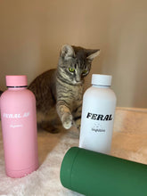 Load image into Gallery viewer, Stainless Steel Water Bottle