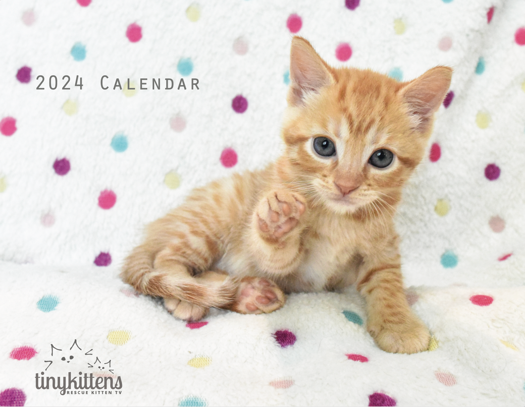 2024 TinyKittens Calendar
