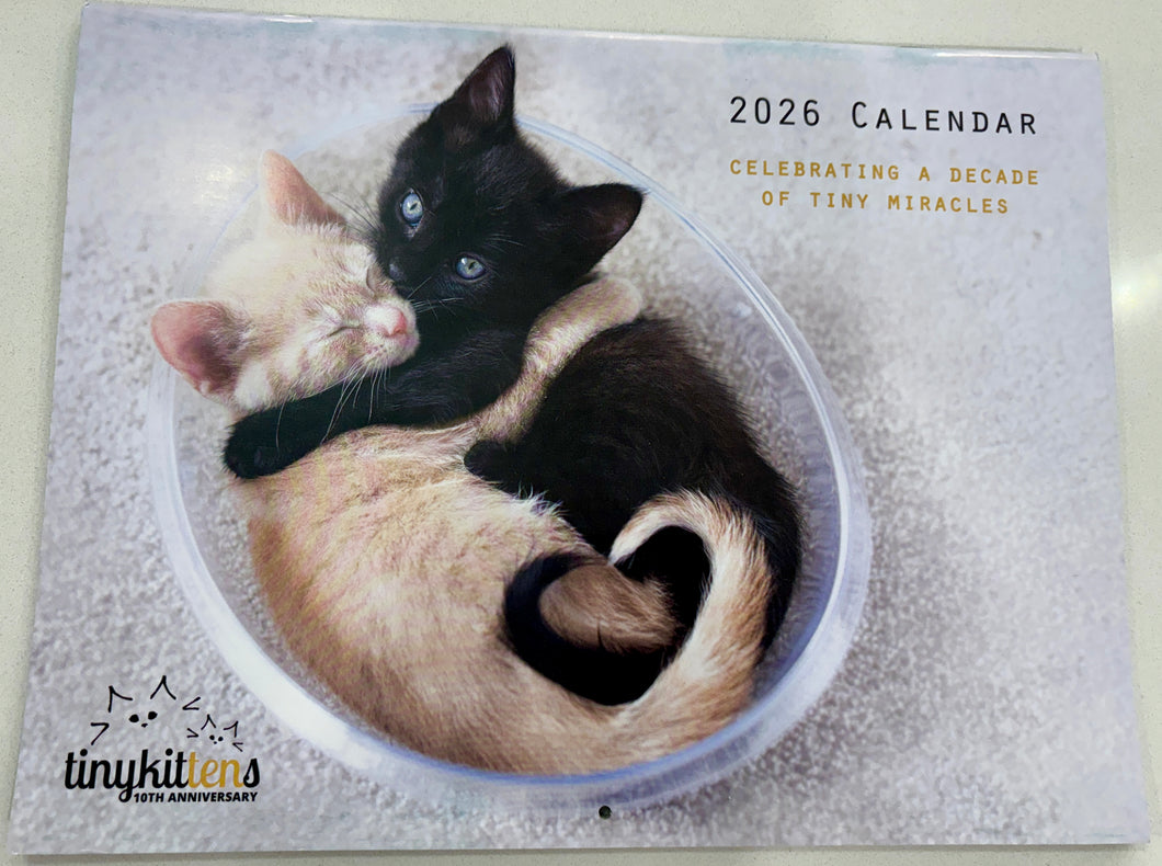 2026 TinyKittens Calendar!