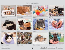 Load image into Gallery viewer, 2027 TinyKittens Calendar (Pre-Order)
