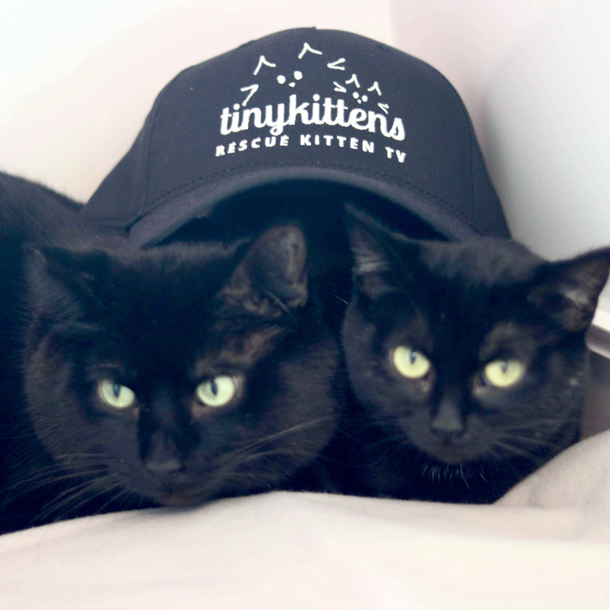 Hat – TinyKittens